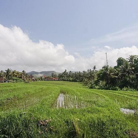 Mejan Home Stay Balian Exterior foto